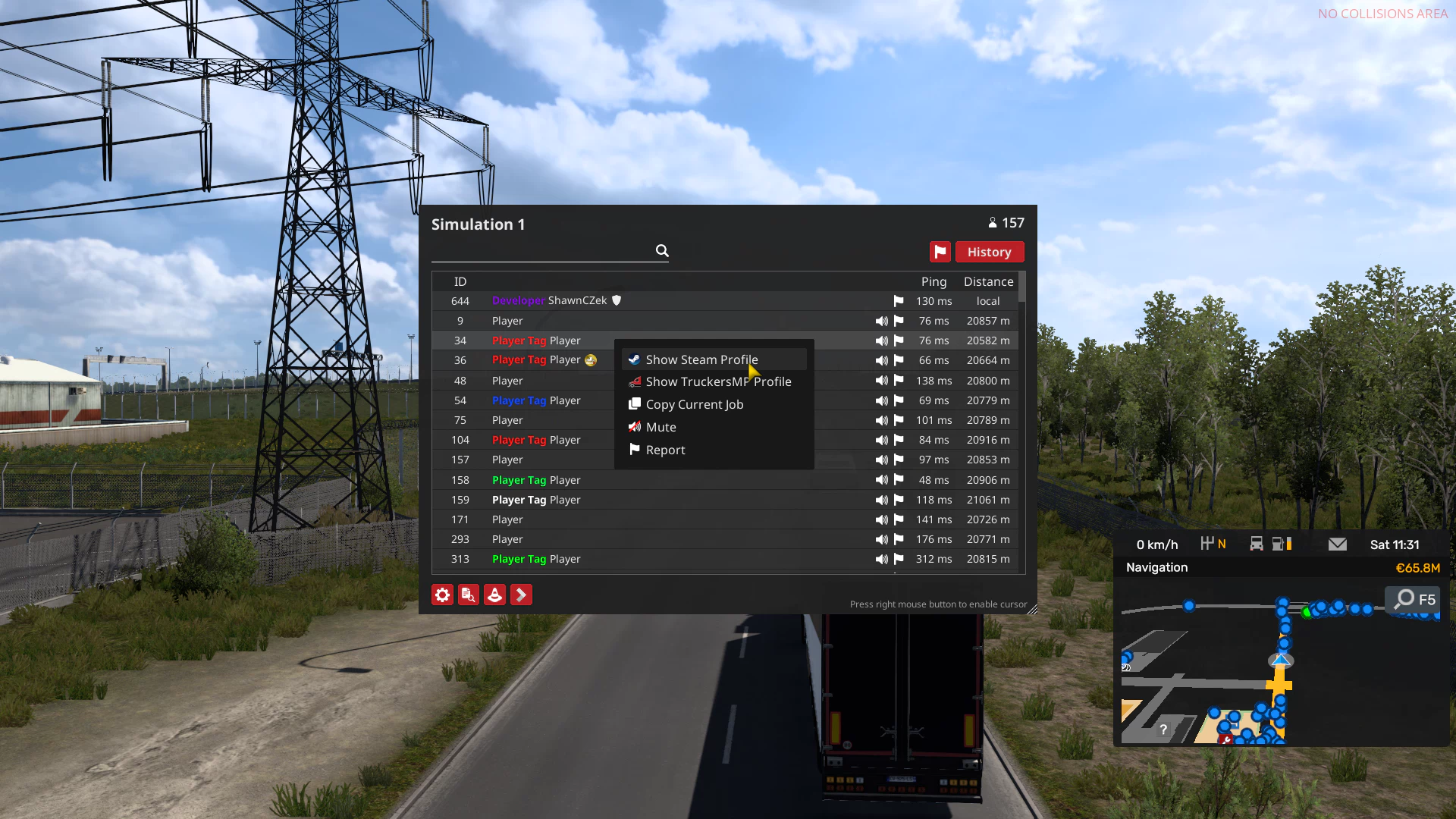 TruckersMP player panel