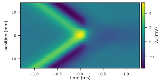 Colliding Action Potentials